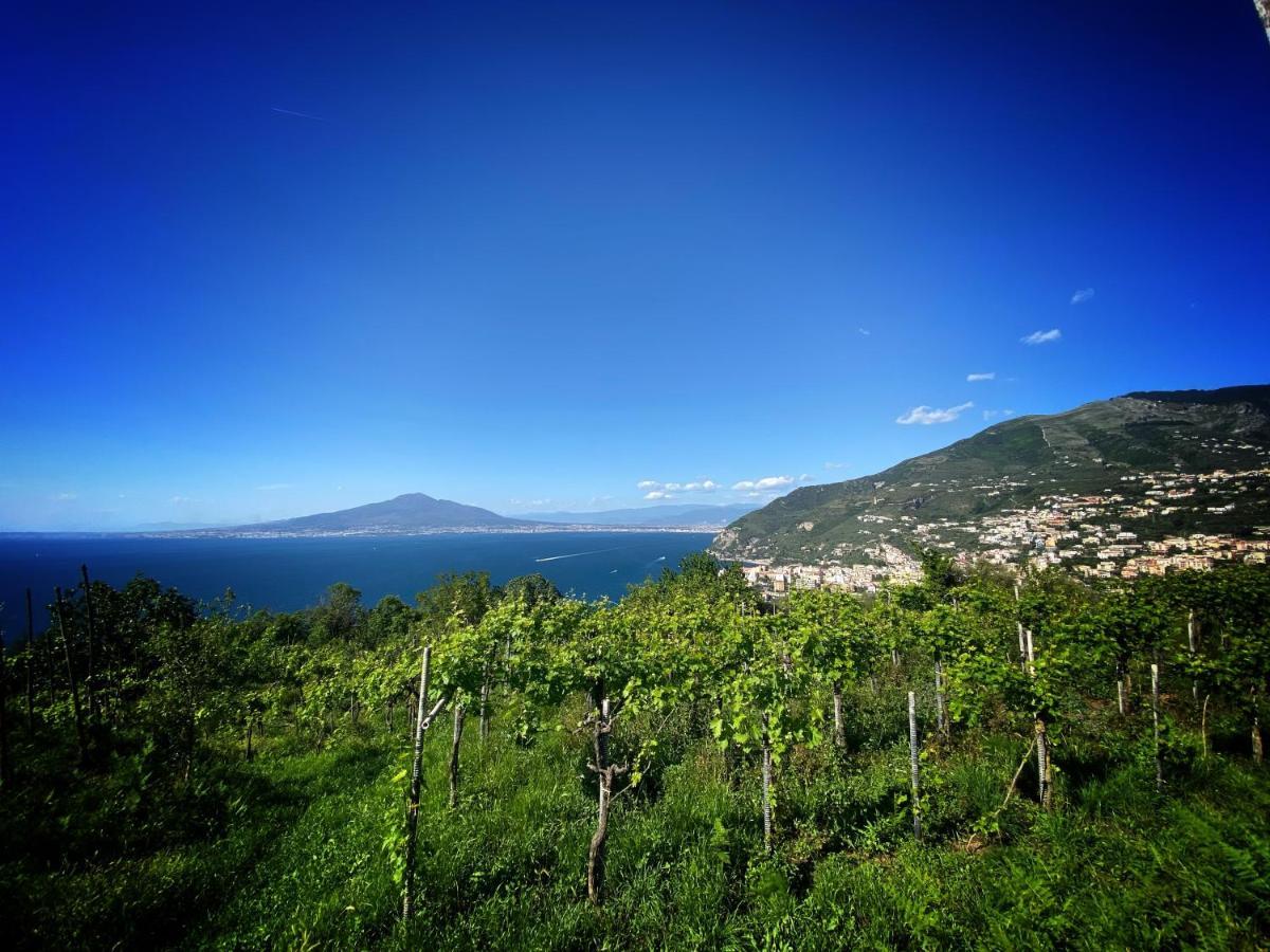 La Badia Montechiaro - Breathtaking View Of Sorrento Coast Villa Vico Equense Exterior photo